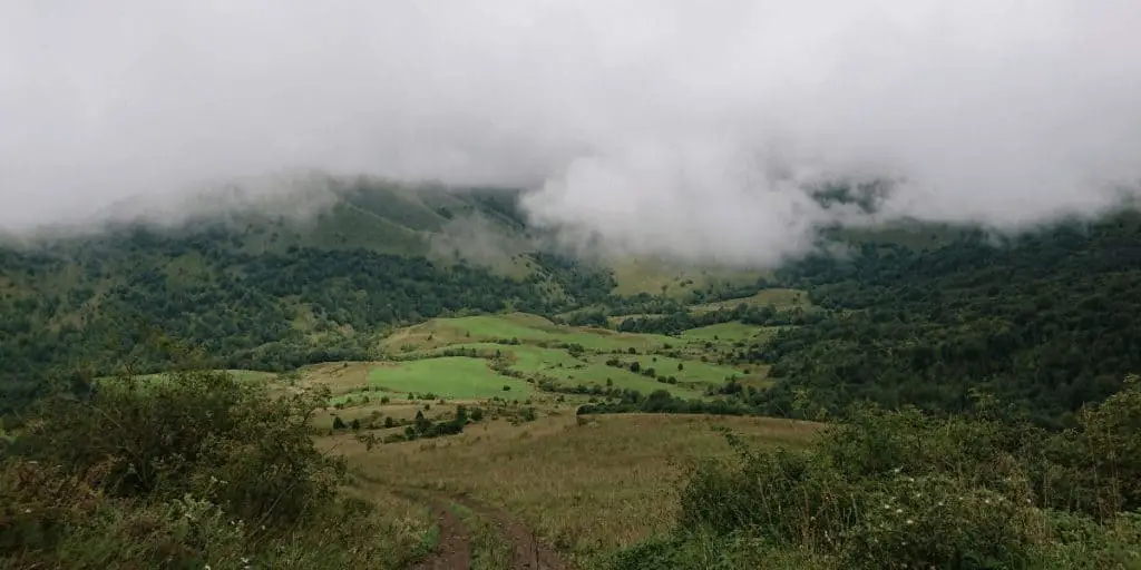 Tavush Province